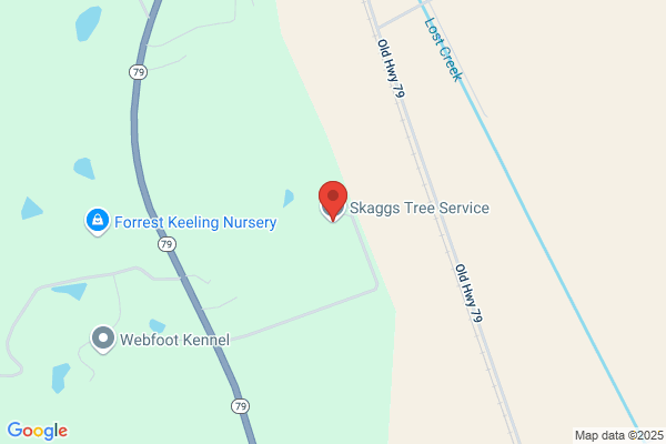 Skaggs Tree Care
