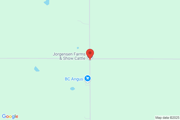 Jorgensen Farms & Show Cattle