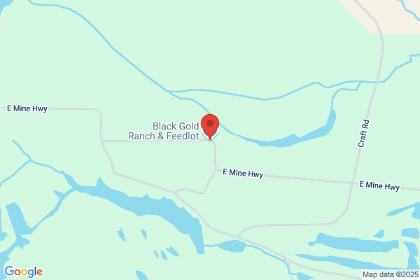 Black Gold Cattle Company