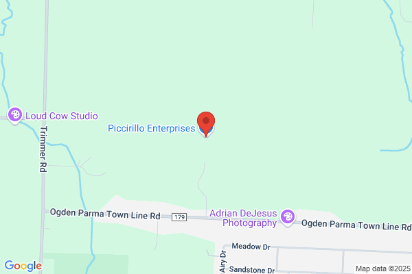 Piccirillo Enterprises