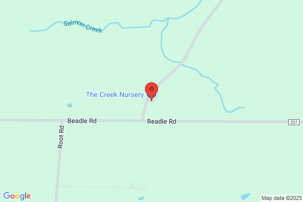 Salmon Creek Nursery