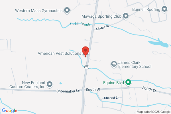 American Pest Solutions Inc