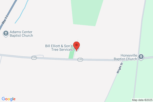 Bill Elliott & Son's Tree Services