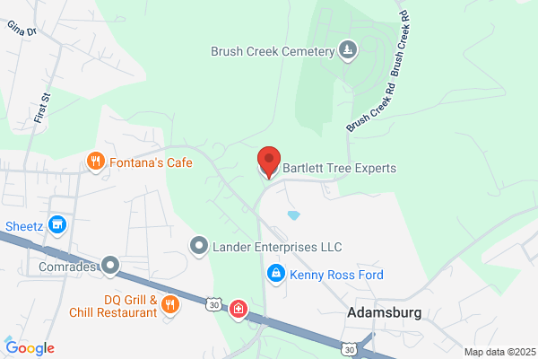 Bartlett Tree Experts