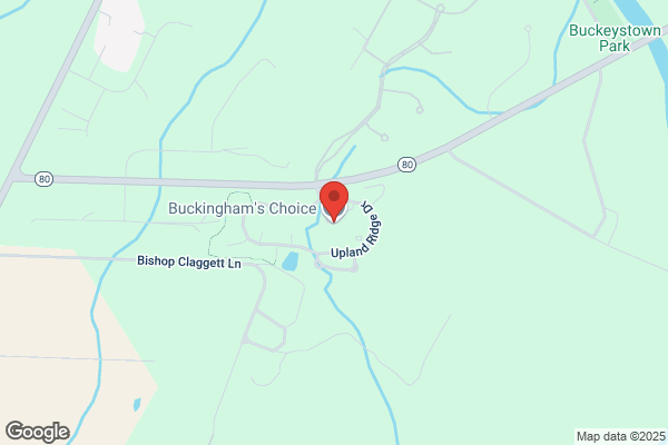 Buckingham's Choice