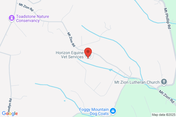 Horizon Equine Veterinary Services Llc