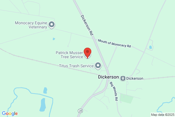 Patrick Musser Tree Service