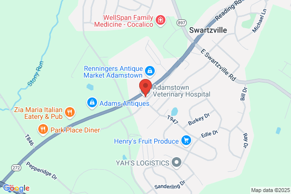 Adamstown Veterinary Hospital