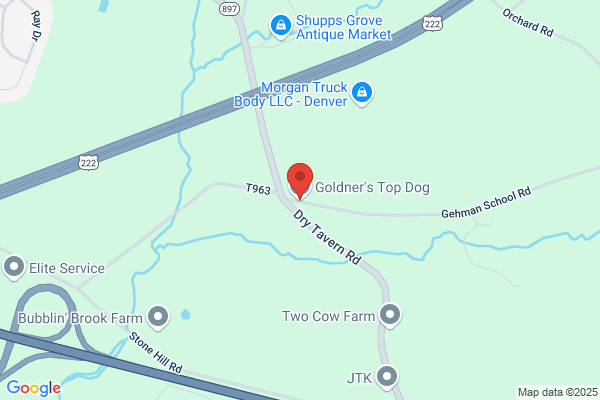 Goldner's Top Dog