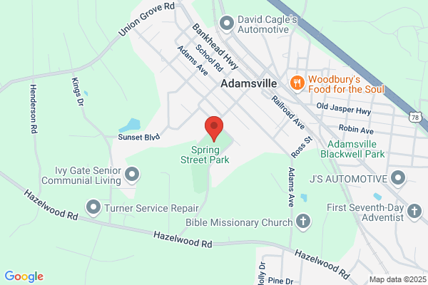 Adamsville City of, Senior Citizens