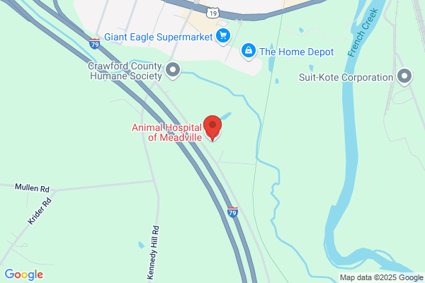 Langdon's Town & Country Veterinary Clinic