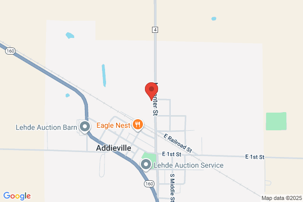 Zapps Tree Trimming & Removal