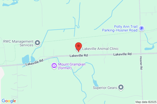 Lakeville Medical Clinic