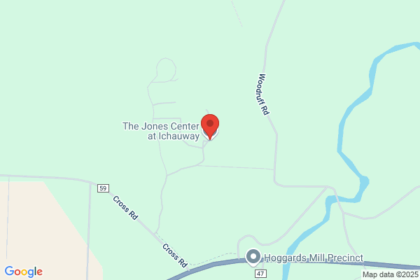 Ichauway Mills Inc