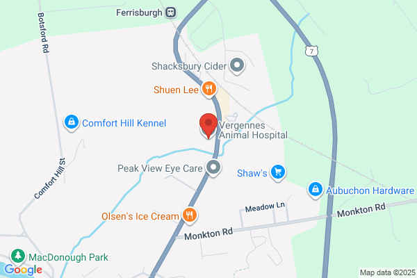 Vergennes Animal Hospital