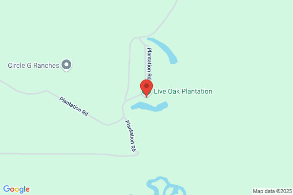 Live Oak Bed and Breakfast