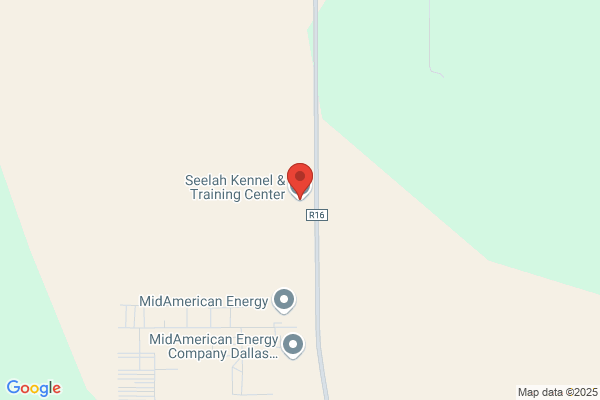 Seelah Kennel and Training Center