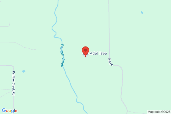 Adel Tree Company