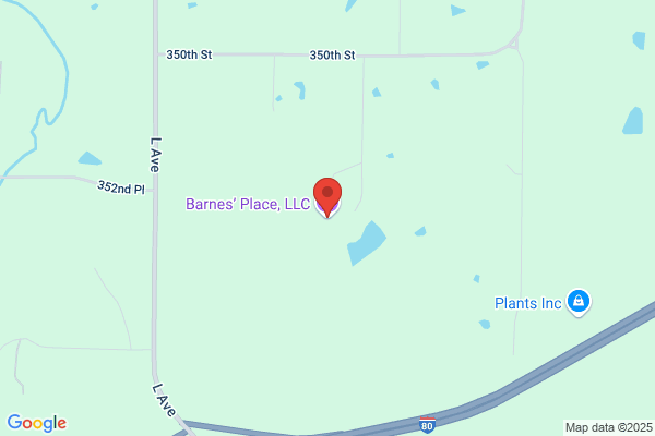 Barnes' Place