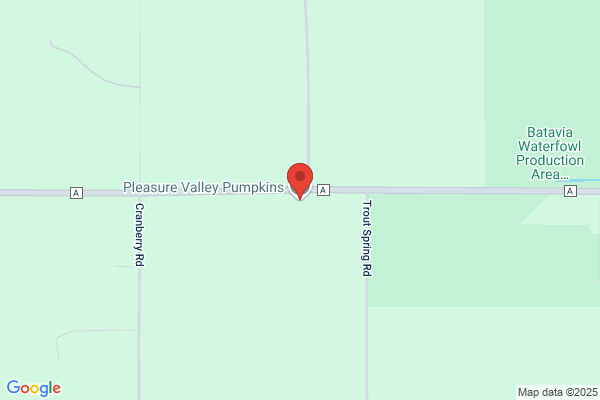 Pleasure Valley Pumpkins
