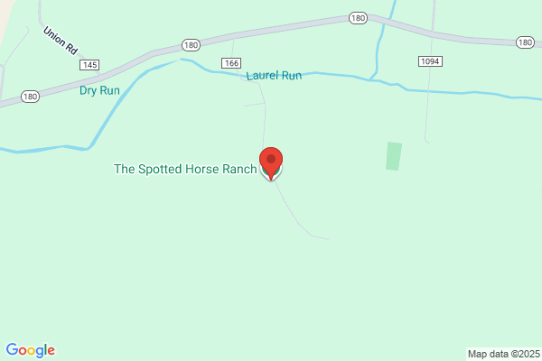 Solt Spotted Horse Recreation