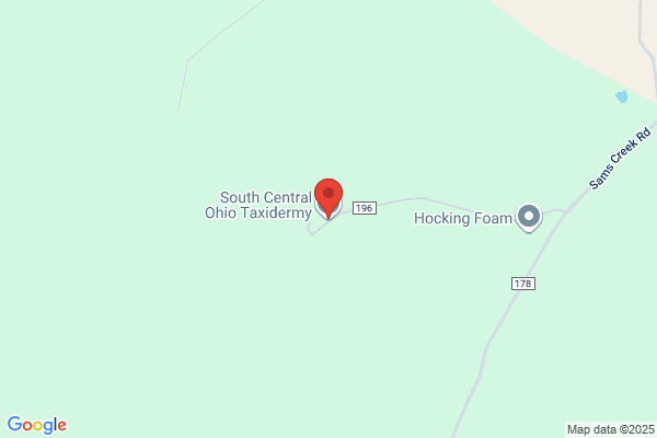 South Central Ohio Taxidermy