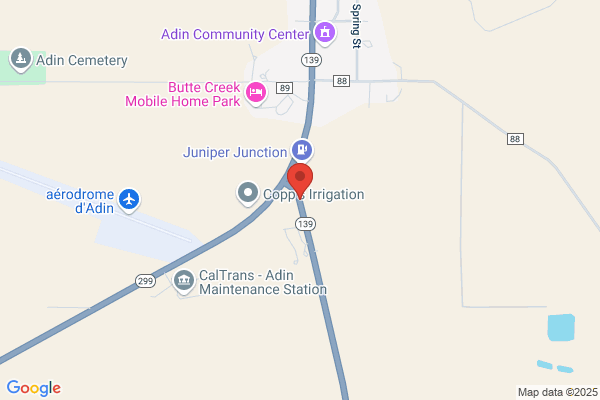 Juniper Tree Motel