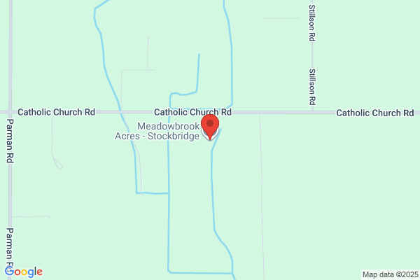 Meadow Brook Meadows