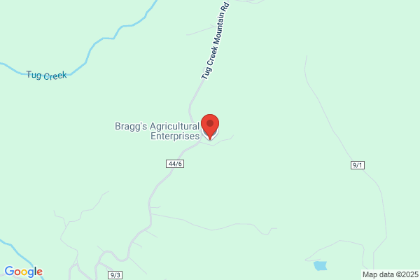 Bragg Enterprises Inc