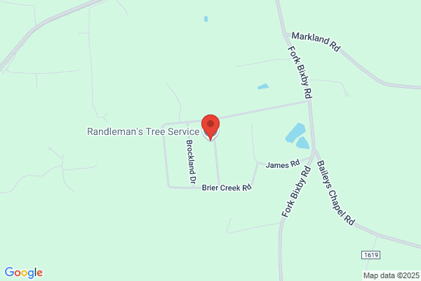 Randleman's Tree Service
