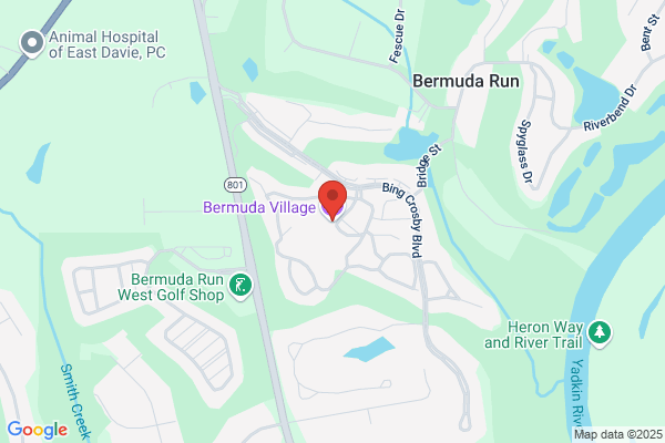 Bermuda Village
