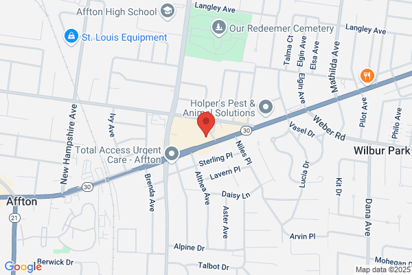 AutoZone Auto Parts