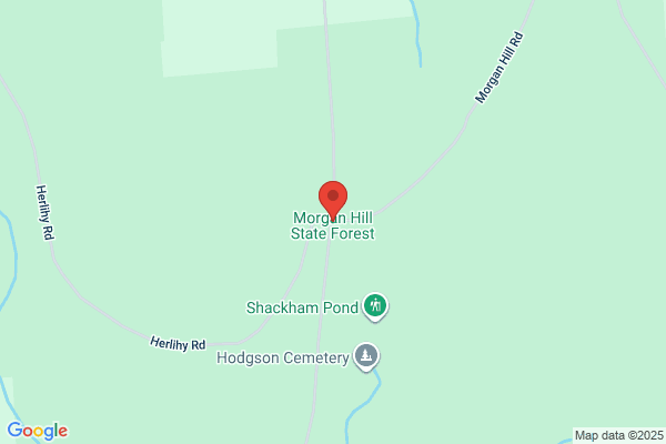 Morgan Hill Realty