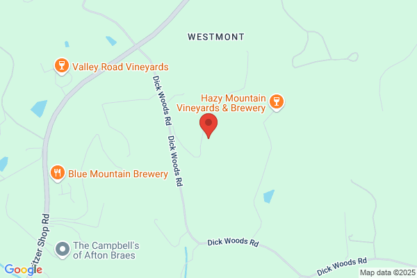 Turk Mountain Vineyards