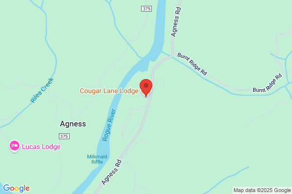 Cougar Lane Store & Lodge