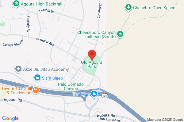 Agoura Realty Inc