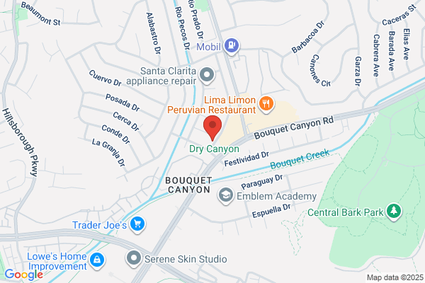 LUX Fireplace Inspections