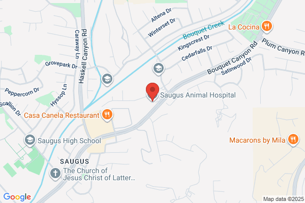 Saugus Animal Hospital