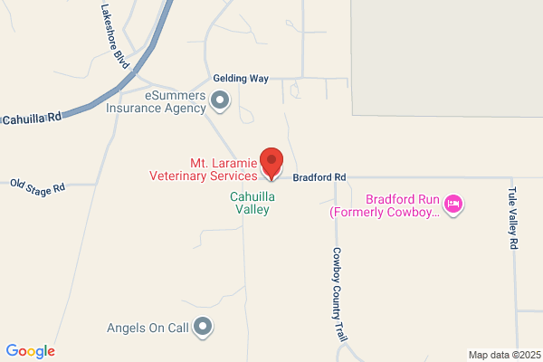 Mt. Laramie Veterinary Services
