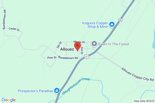 Allouez Automotive Inc