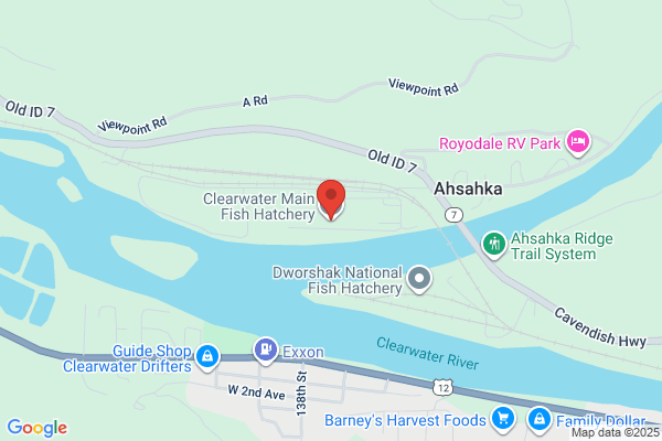 Clearwater Fish Hatchery