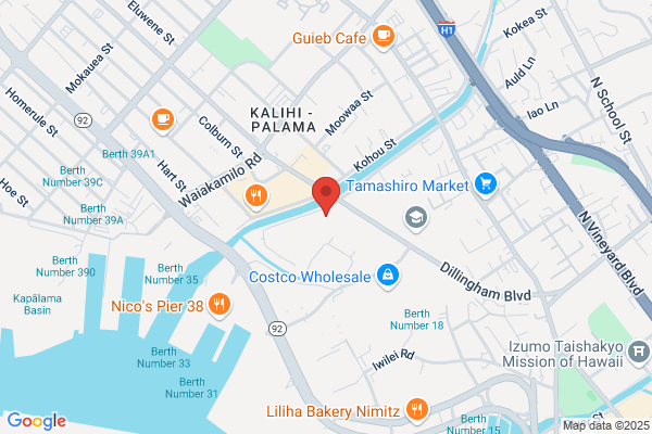 Natural Hawaiian Island Stone