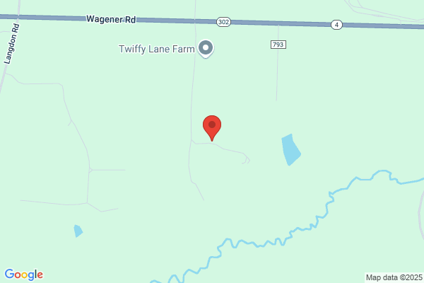 White Rose Farm
