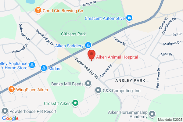 Aiken Animal Hospital