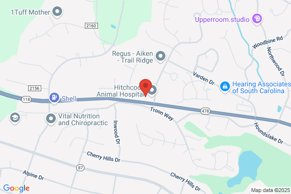 Aiken Endodontics