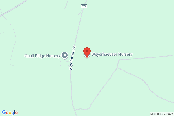 Weyerhaeuser Company