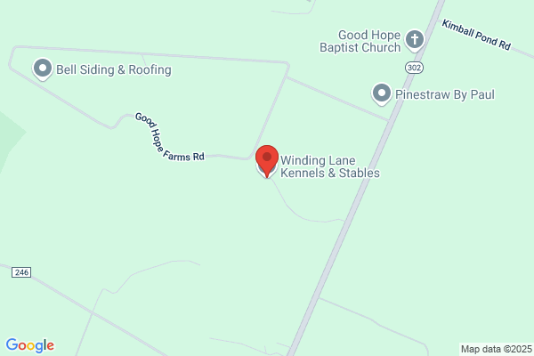 Winding Lane Kennels & Stables