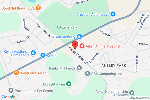 Carver Security Systems Inc