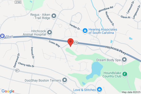 Trevival Tree Services