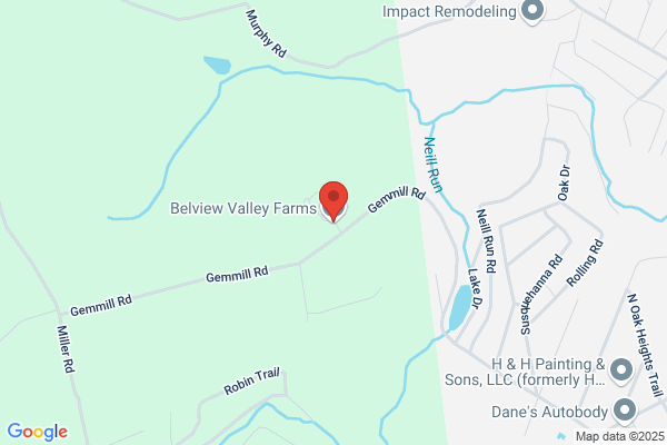 Belview Electric